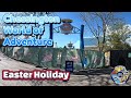 🎢 An Easter Wild Adventures at Chessington 2026! 🐣🌿