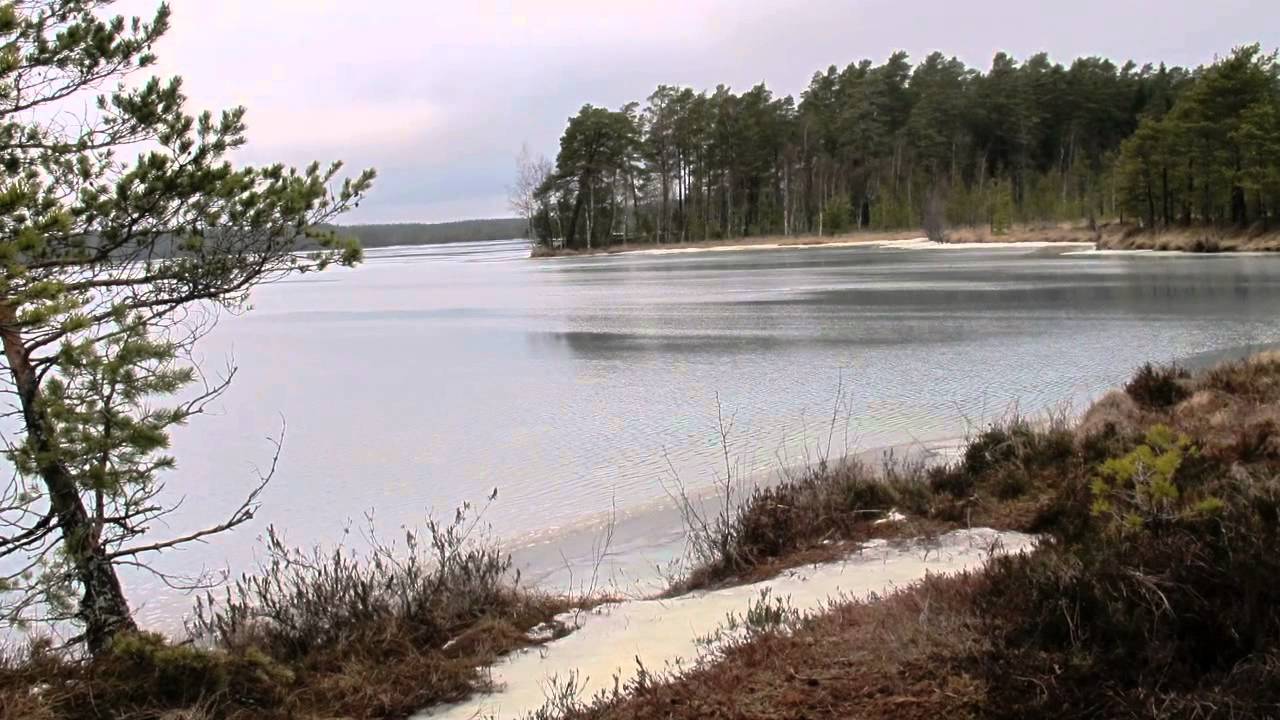 Kurjenrahka National Park in Finland - Thăm công viên quốc gia Phần Lan Kurjenrahka - YouTube
