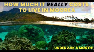 CHEAP Cost Of Living In Moorea, French Polynesia 2024 (Best Budget Tips)