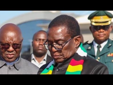 BITI BLOWS MNAGAGWAS HIGH HOPES CALLS 2030 A NON STARTER