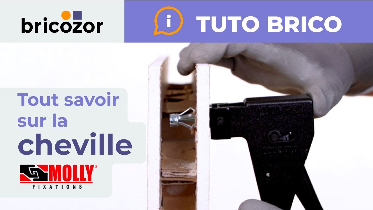 Focus sur les chevilles type MOLLY