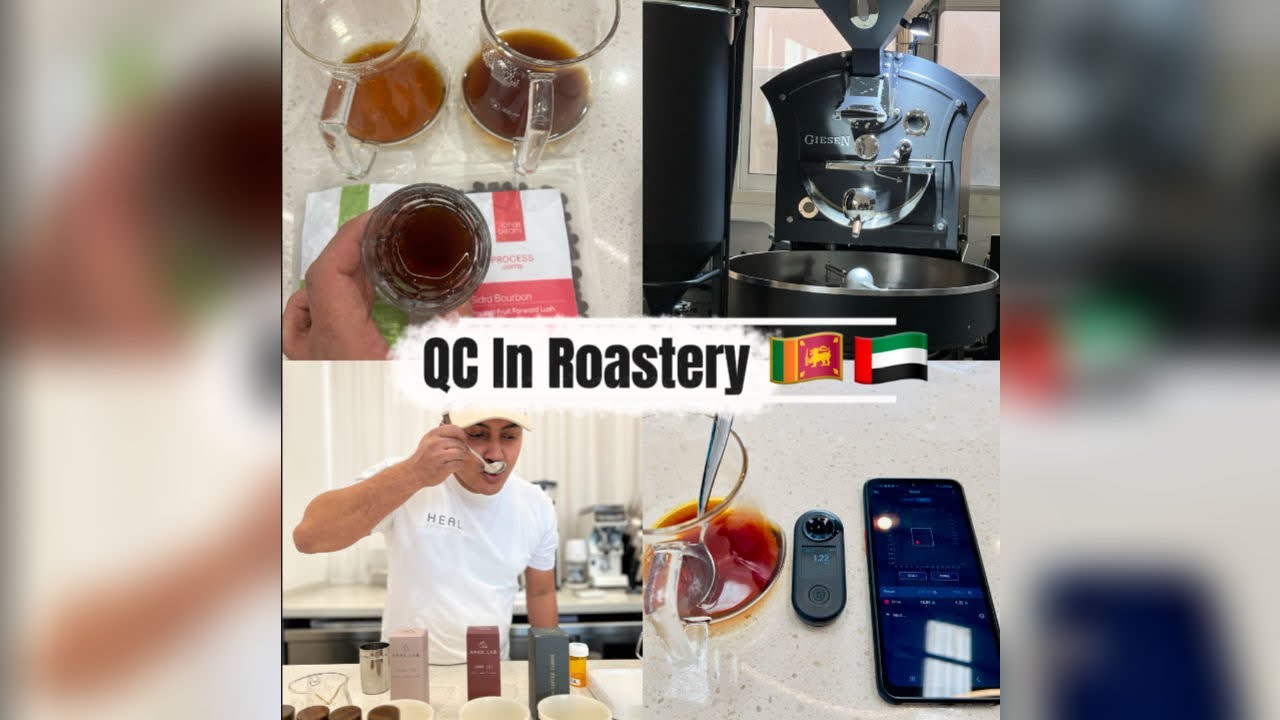 Daily QC & Sample Roasting Routine ☕️🔥🇦🇪