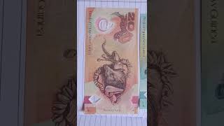 Papua New Guinea Currency (Papua New Guinean Kina - PGK) #currency #banknote #money screenshot 5