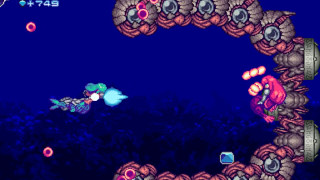 Vacantark (Windows game 2005)