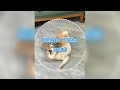 狐獴到了發情期 #動物故事 #狐獴