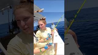 L-fish L-fish