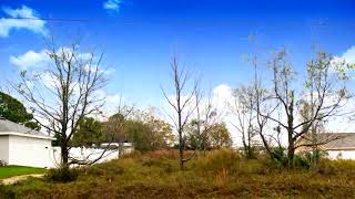 Lots And Land for sale - 0 Juniper Run, Ocala, FL 34480 Lots And Land for sale - 0 Juniper Run, Ocala, FL 34480