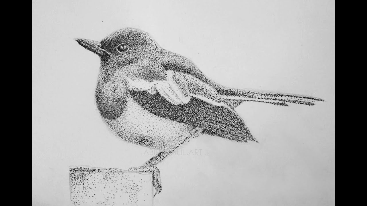 Bird - Pencil shading with stippling technique (Time-lapse) 