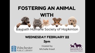 Fostering an Animal with Baypath Human Society