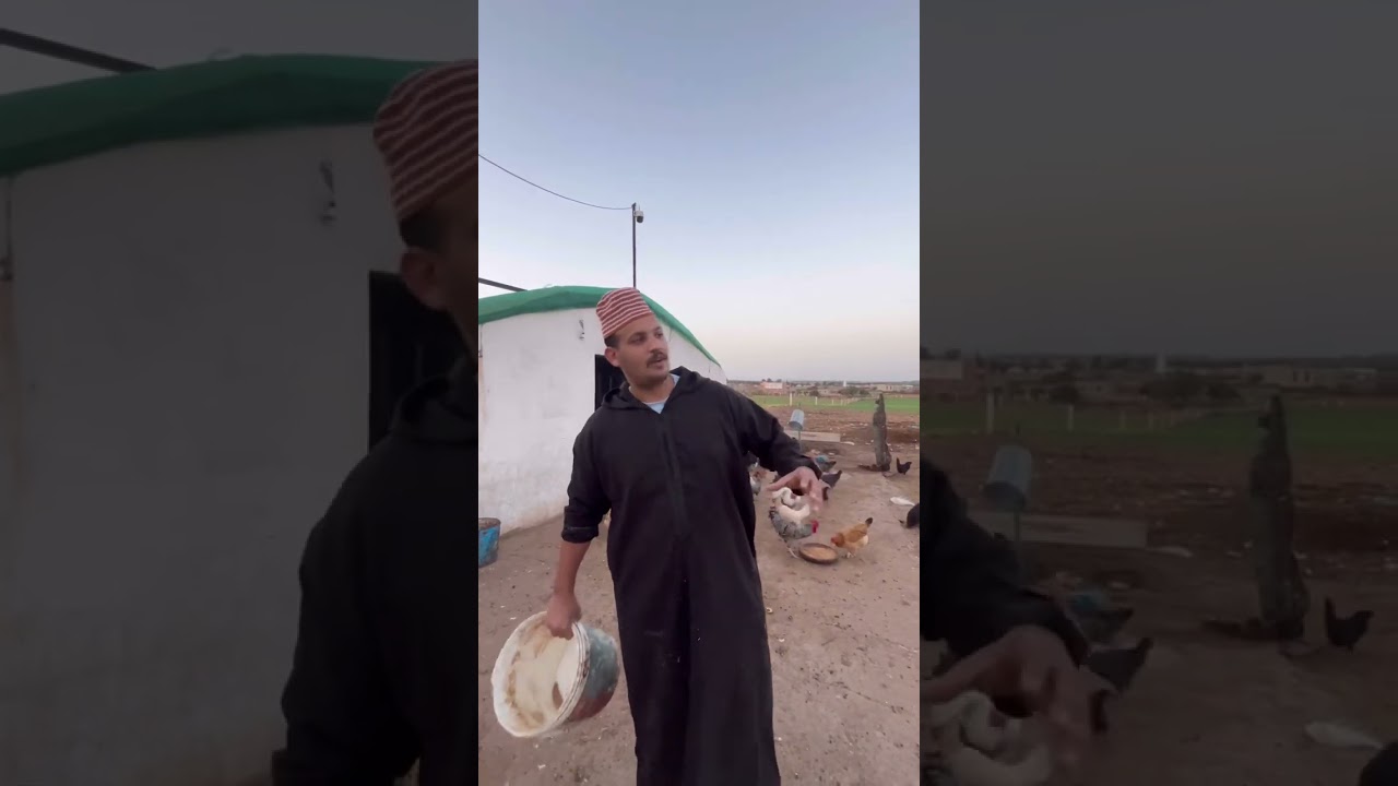 اجواء جميلة في ضيعة ولد الخيمة🐏❤️