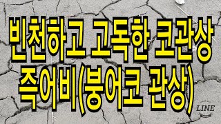 빈천하고 고독한 코 관상