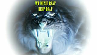 WT MUSIC BEAT - DEEP BEAT