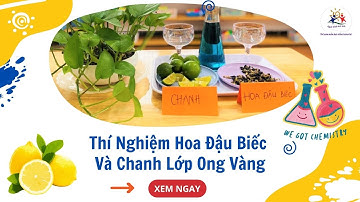 THÍ NGHIỆM VỚI HOA ĐẬU BIẾC VÀ CHANH | Mầm Non Ngôi Nhà Mơ Ước