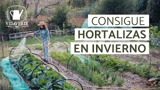 La Huerta en Invierno | Beneficios y Cosechas