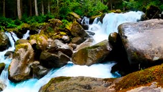 4k Turquois River flowing Soca in Slovenia. Water Sounds, River Sounds, White Noise for Sleeping