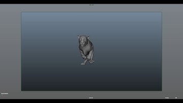 leopard run animation test