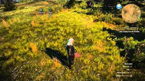 Witcher 3 Shrieker Inf Loading Screen FIX!