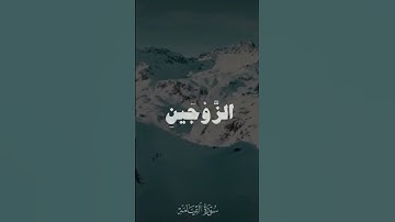 سوره القيامه محمد صديق المنشاوي
