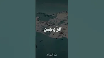 سوره القيامه محمد صديق المنشاوي 
