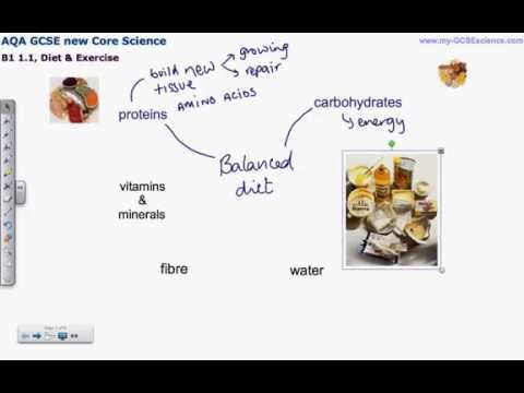 mygcsescience  Diet and Exercise 1