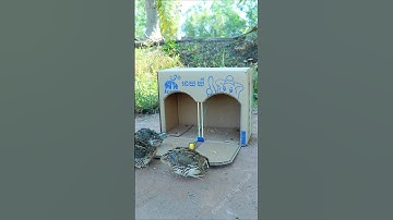 Creative Bird Trap Technique - Quail Trap #amazing bird trap #shorts