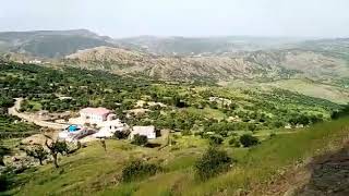 Yücebağ Beldesi Muz