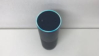 「神々の遊び」編 ～Amazon Echoの全Alexaスキル調査PJ～