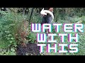 The BEST WAY to water plants, shrubs, trees??