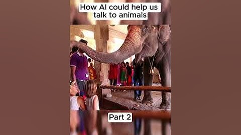 #foryou 🧠 How AI Could Help Us Talk to Animals! 🐾