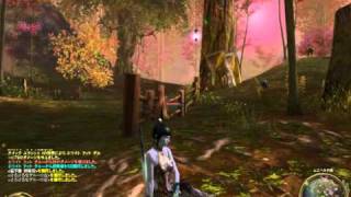 オンラインMMORPG「The Tower of AION」ゲームプレイ