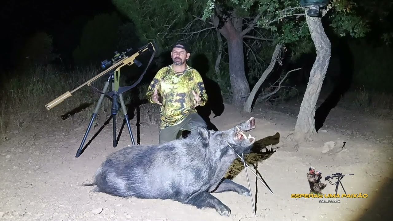 ESPERAS AOS JAVALIS OURO,PRATA OU BRONZE, DOIS EXCELENTES NAVALHEIROS... JUNHO E JULHO 2025