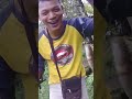 selokan kecil ini ternyata penuh ikan mahal channa limbata