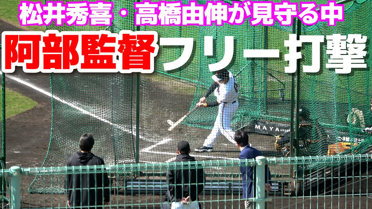 阿部慎之介NPB実使用バット阿部慎之助高橋由伸サイン入り 阿部慎之介
