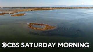 Venice’s low tides reveal ancient wonders, offer look into the future