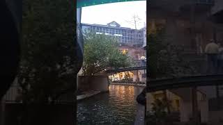 Common Grackle San Antonio River Walk