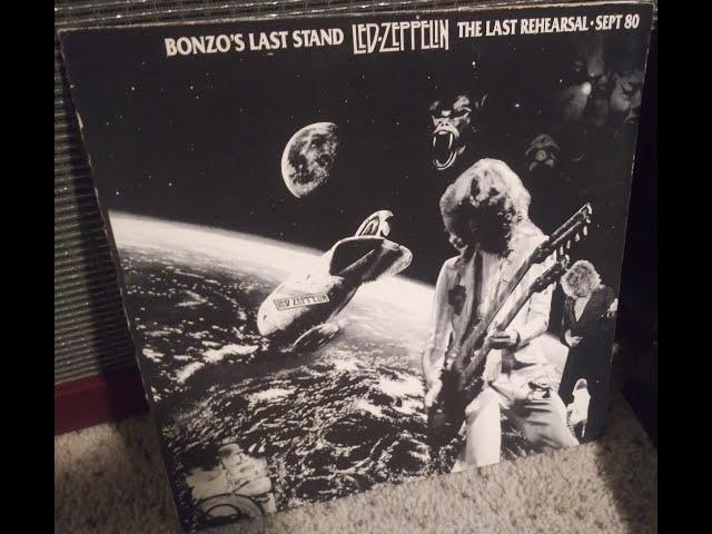 Bonzo