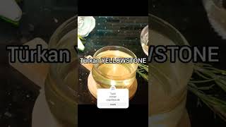 Sadece 2 Malzemeyle 17 Kilo Verdim I Lost 17 Kilos With Just 2 Ingredients