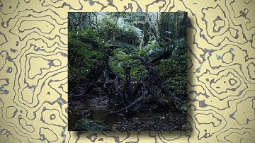 fatalism - catastrophic forgetting