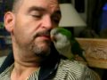 Amazing Spanish talking Quaker Parrot