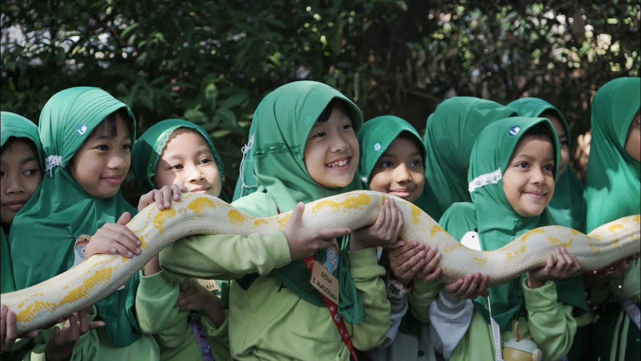 Field Trip Kelas 3 SDI Al Azhar 17 Bintaro || Godong Ijo Sawangan Depok.