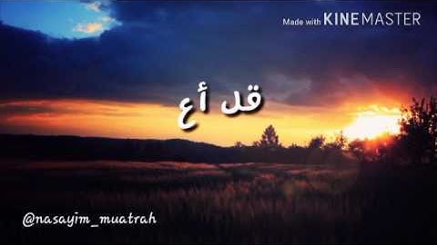 سورة الناس بصوت القارئ وديع اليمني