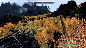 Dovahkiin vs Champion of Cyrodiil v 1.1 (Divine Crusader edition)