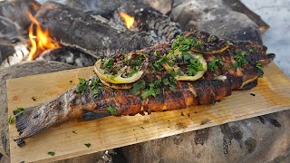 Bacon Wrapped Rainbow Trout - Cooked On Camp Fire (Catch and Cook)