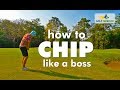 How to Chip the Golf Ball - The Golf Sidekick Way - Like a Champion