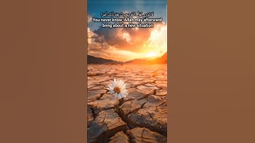لَا تَدْرِي لَعَلَّ اللَّهَ يُحْدِثُ بَعْدَ ذَٰلِكَ أَمْرًا / سورة الطلاق / surah at talaq