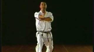 Heian Nidan (Heian 2) {Shotokan kata} Heian Nidan (Heian 2) {Shotokan kata}