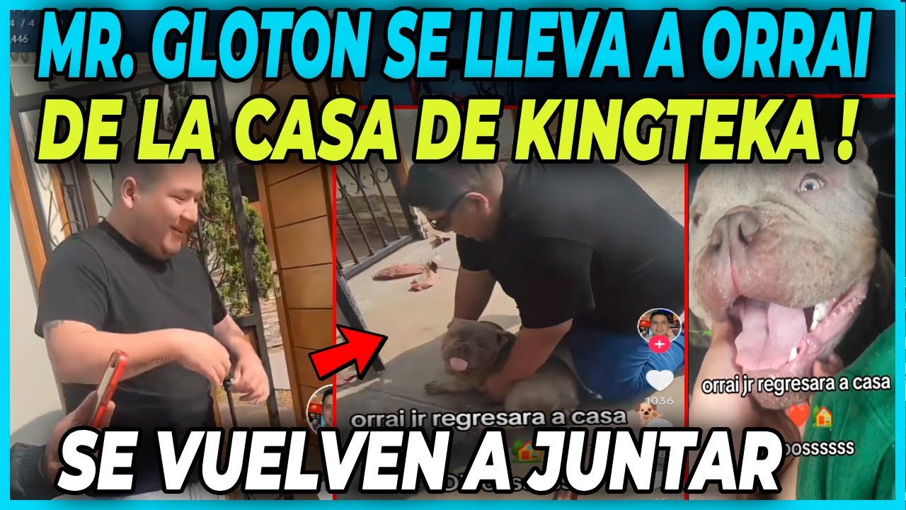 MR GLOTON SE LLEVA A ORRAI DE LA CASA DE KINGTEKA