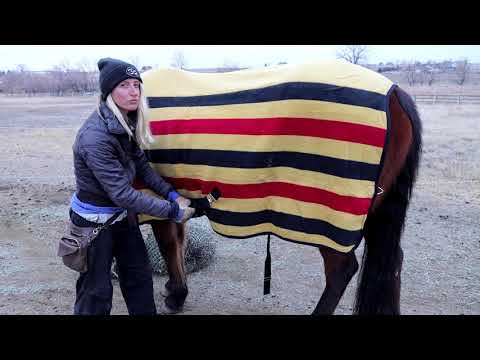 Vídeo: Preparações de tempestade para proprietários de cavalos