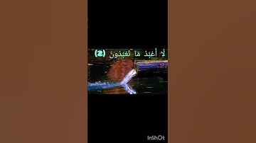 سورة الكافرون بصوت القارئ إسلام صبحي