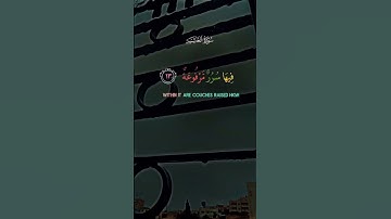 القرآن الكريم تلاوه رائعه للشيخ عبد الرحمن مسعد #اكسبلور #المصحف #القرآن_الكريم
